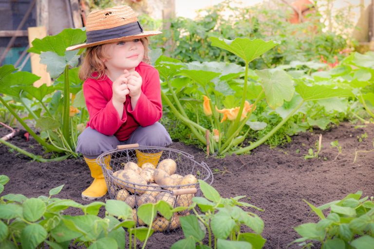 Mit sechs coolen Gartentrends den Garten verschönern