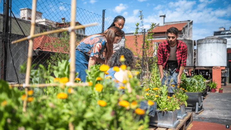 Drei Personen betreiben Urban Gardening, gärtnern also mitten in der Stadt