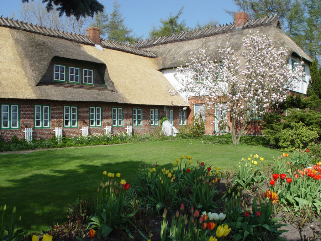 Bauernhaus mit Reetdach hinter einem blühenden Garten