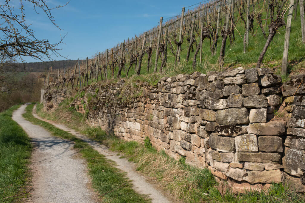 Alte Trockenmauer aus Naturstein im Weinberg