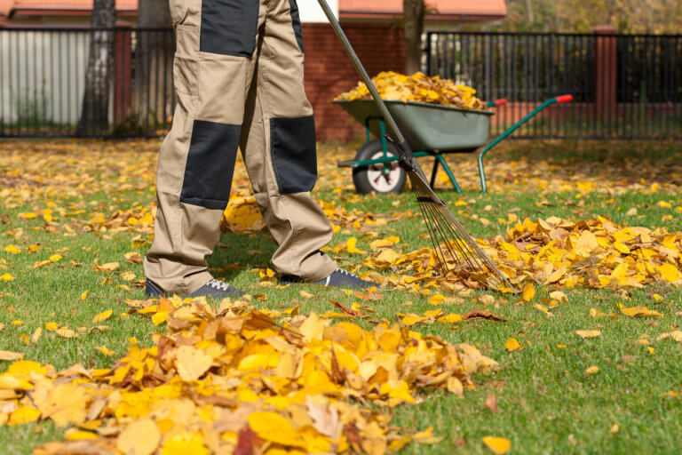 Gartenarbeit im Herbst