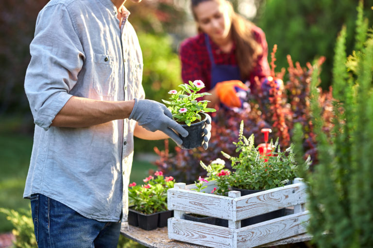 Gärtnerin bei der Gartenarbeit im Frühling
