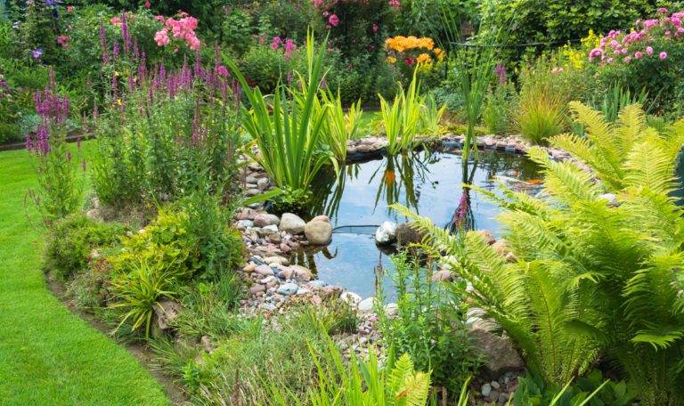 Ein Gartenteich im Blumengarten