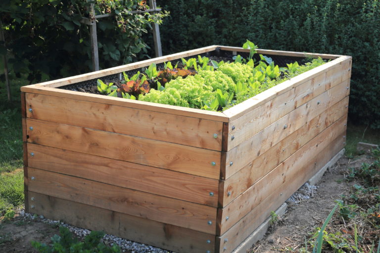Bepflanztes Hochbeet mit Gemüse im Garten