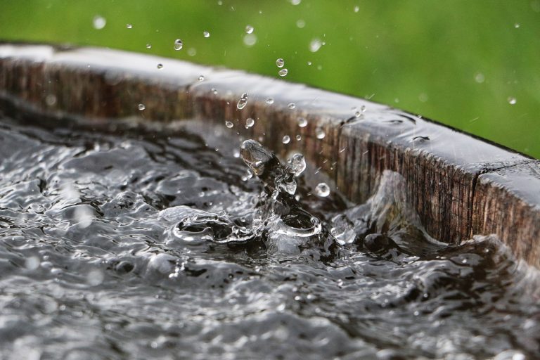 Regentonne sammelt Regenwasser im Garten