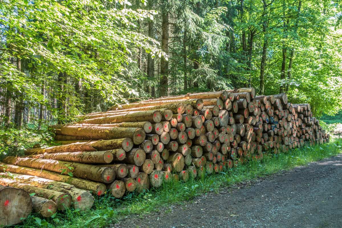 Faszinierend Kubikmeter Berechnen Holz Ebenbildbellina9019