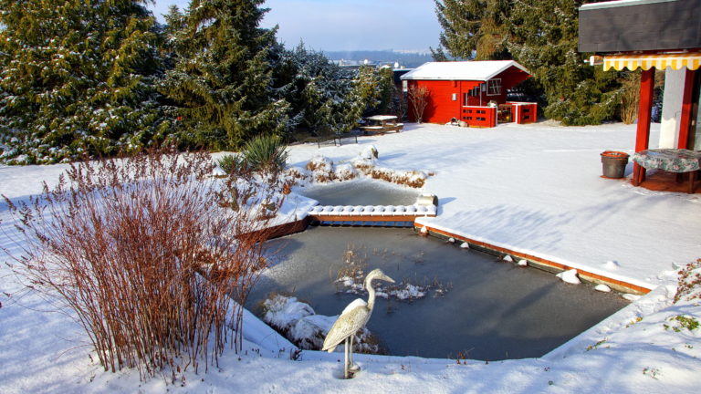 Gartenteich im Winter