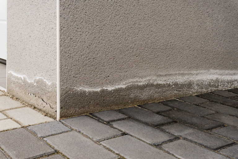 Feuchtes Mauerwerk: Aufsteigende Feuchtigkeit und Ausblühungen am Sockel eines Neubaus