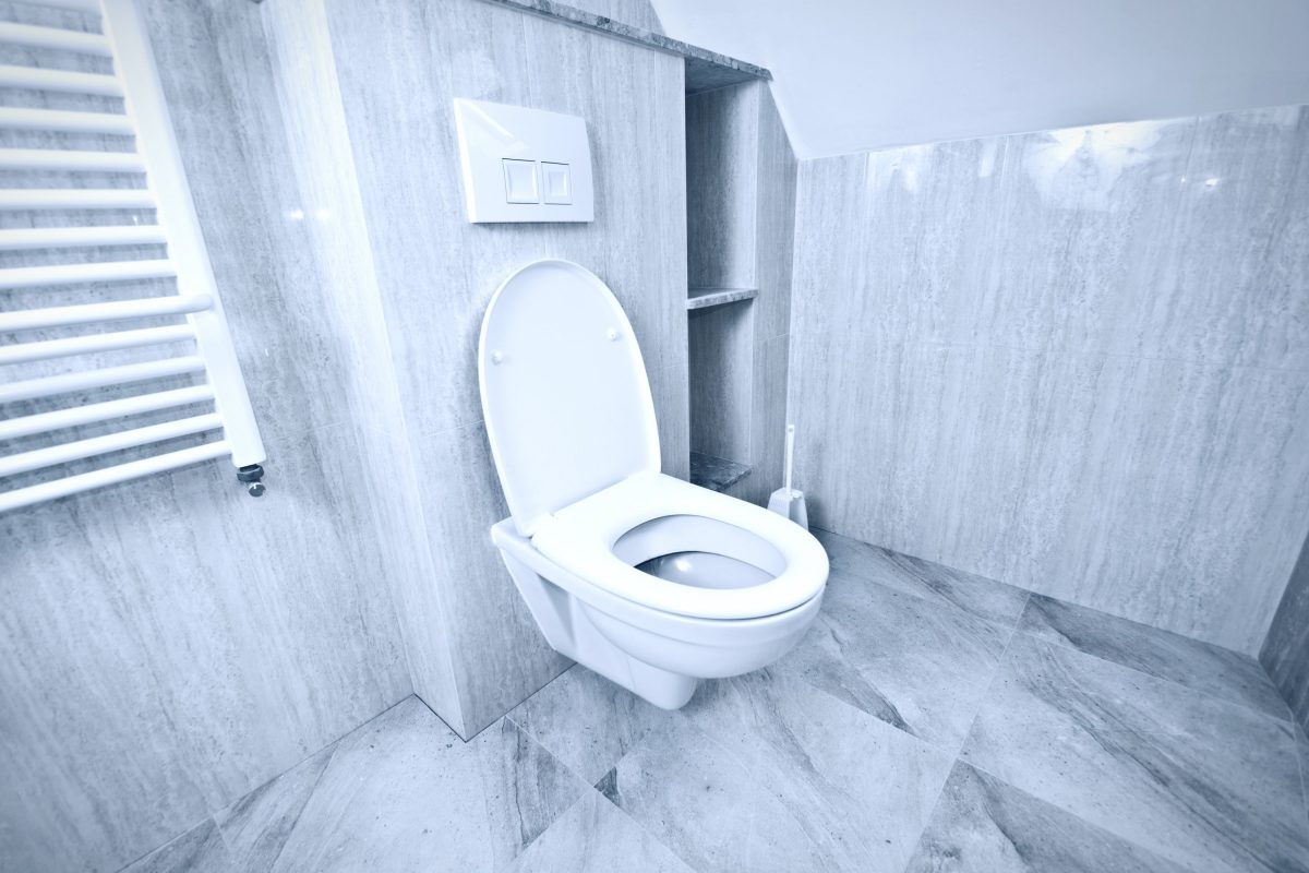 Für jedes Badezimmer gibt es die passenden Toilettenarten