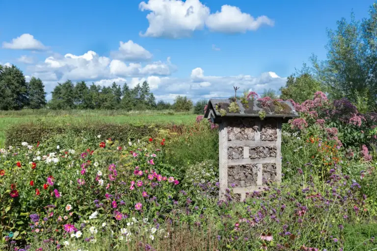Naturnah gestalteter Garten mit Wildpflanzen