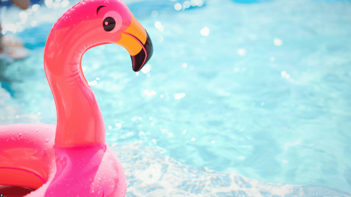 Ein Flamingo als Schwimmreifen treibt im Pool