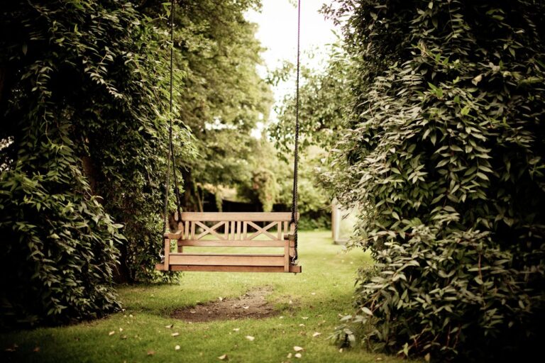 Gepflegter Garten mit Rasen und Beeten