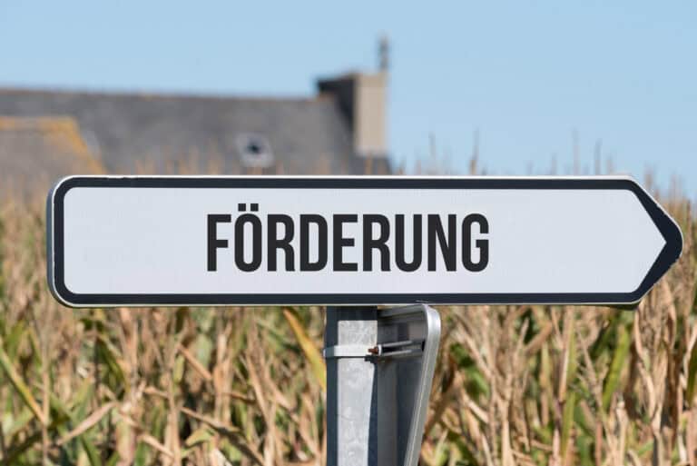 BAFA oder KfW: Welche Förderung passt zur Dachsanierung?