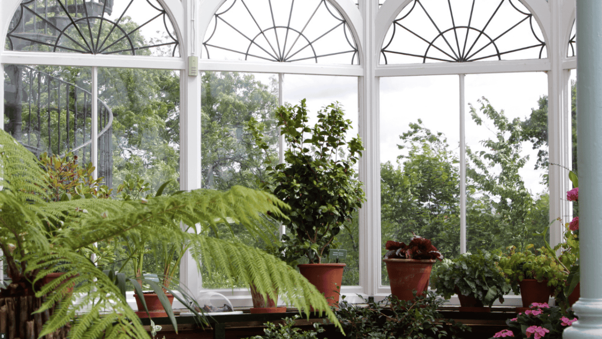 In diesem Kaltwintergarten werden Pflanzen überwintert