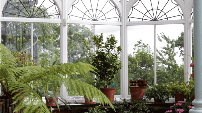 In diesem Kaltwintergarten werden Pflanzen überwintert