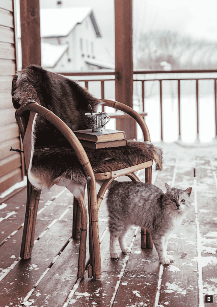 Katze unter einem Holzstuhl, im Winter, auf einer Holzterrasse