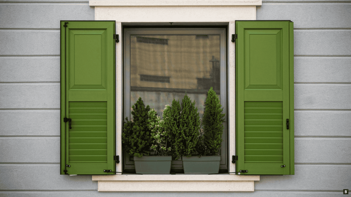 Hellgrüne Fensterläden auf weißer Holzhauswand, dazwischen kleine Büschchen auf dem Fensterbrett